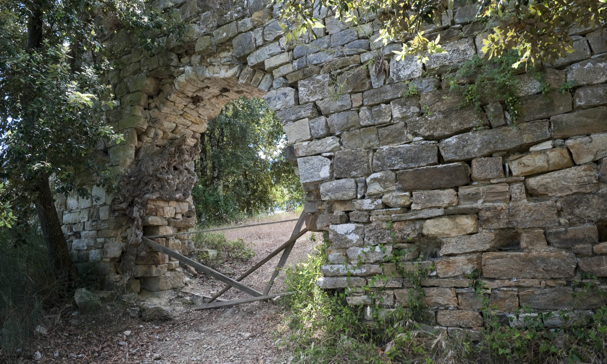 La porta del Castello di Monternano